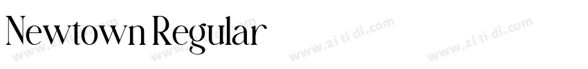 Newtown Regular字体转换